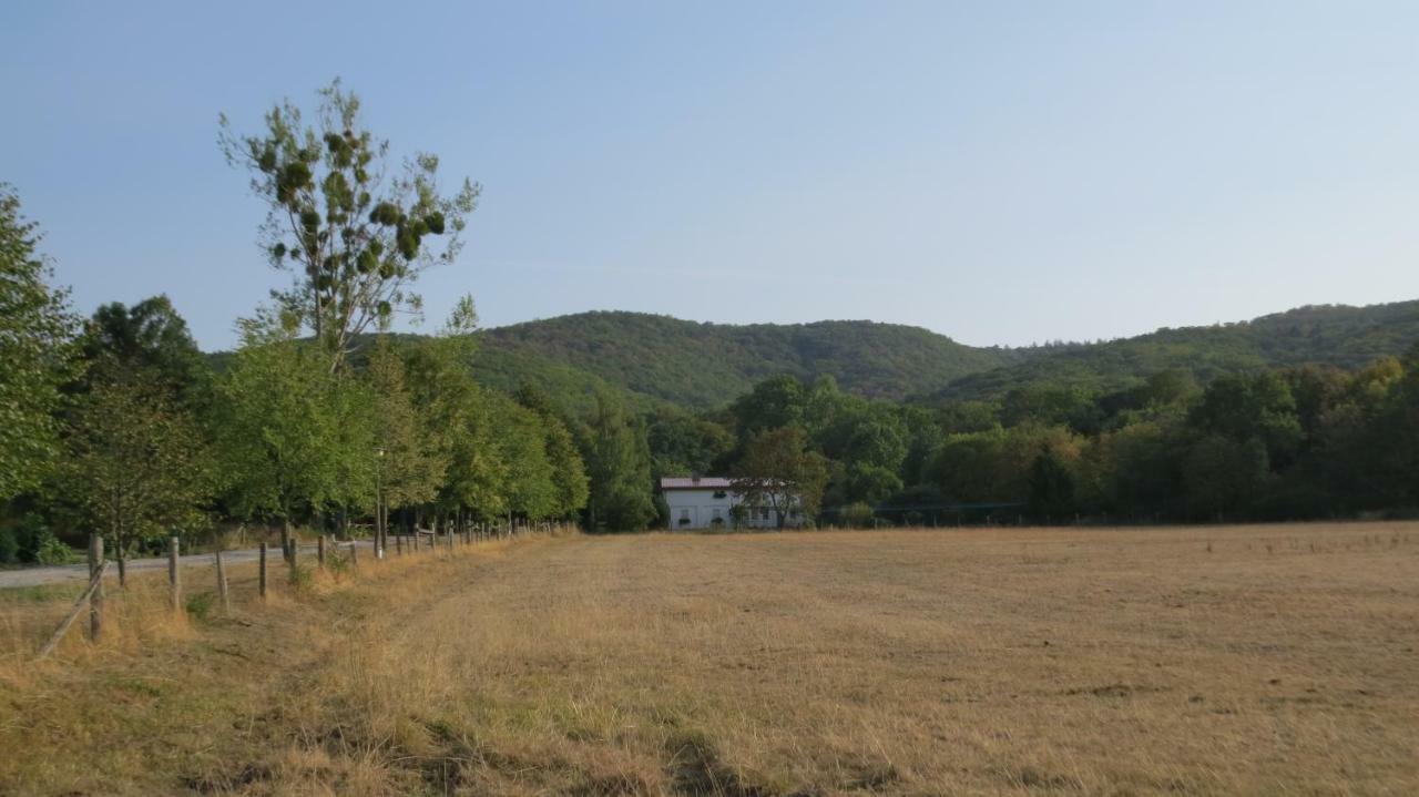 Ferienwohnung Wolfsholz Wernigerode Dış mekan fotoğraf